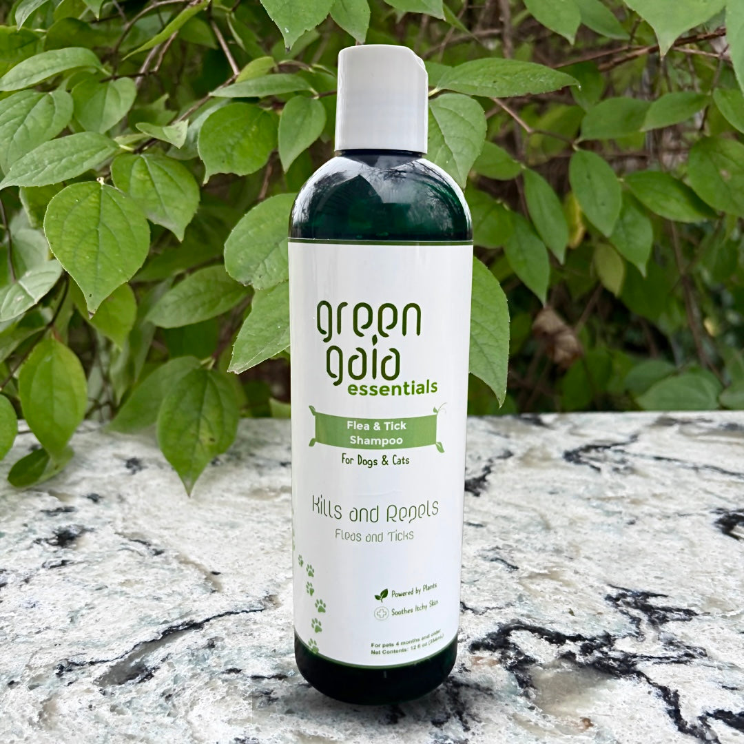 Flea & Tick Shampoo for Dogs and Cats