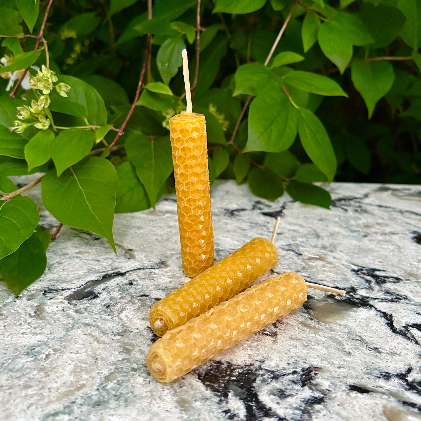 Hand Rolled Beeswax Candles