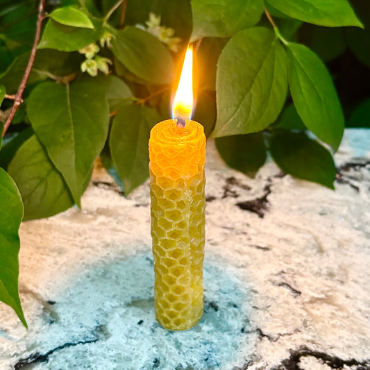 Hand Rolled Beeswax Candles