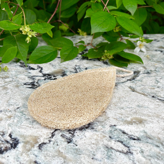 Exfoliating Loofa