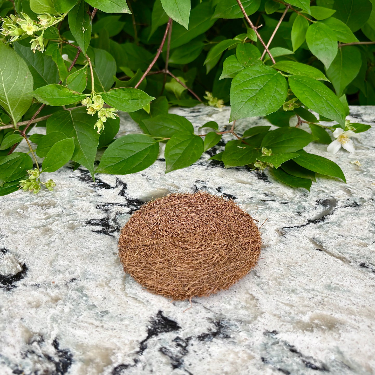 Coconut Coir Pad for Soap